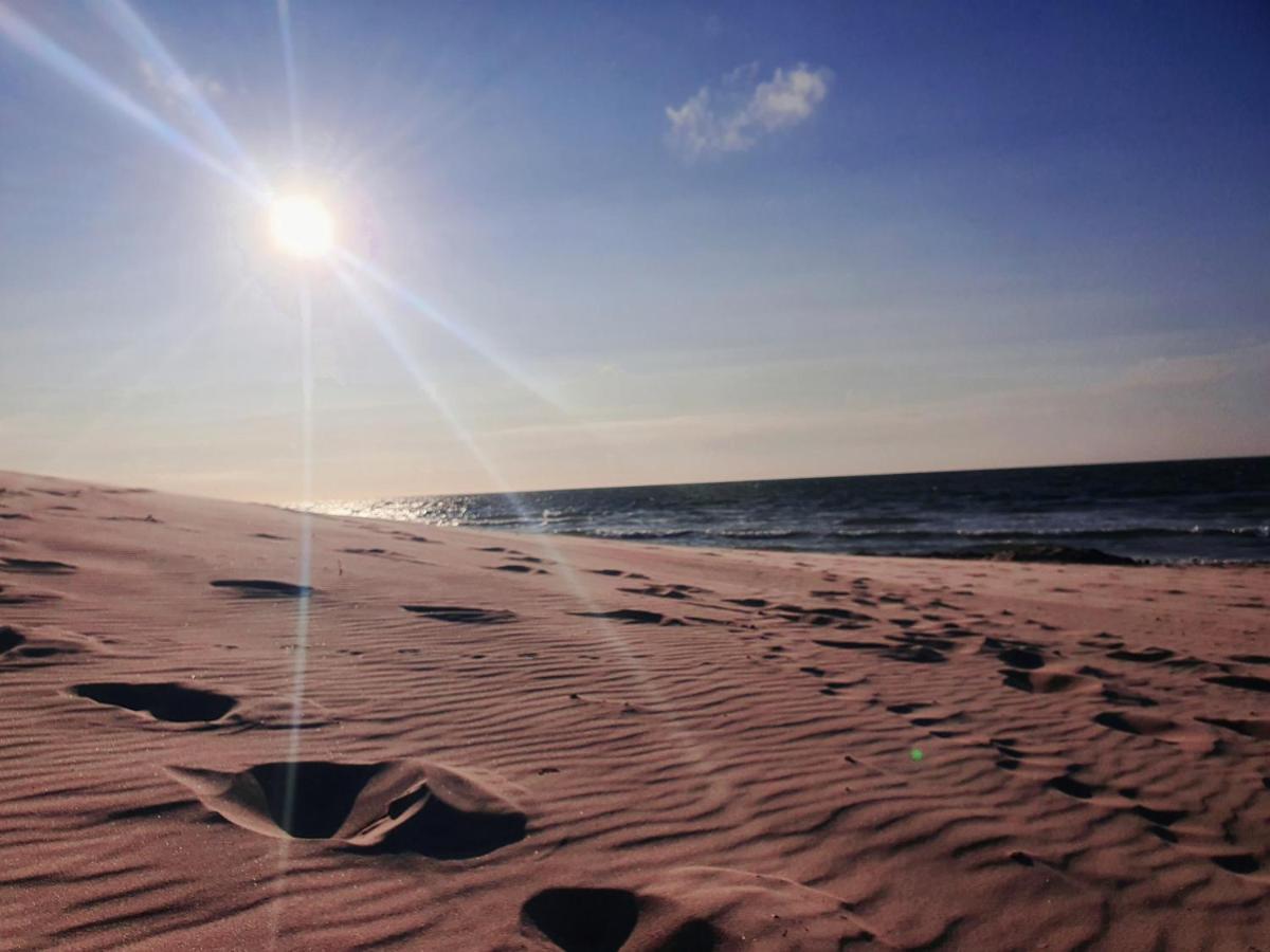 Beachhouse Renesse 2645 Εξωτερικό φωτογραφία