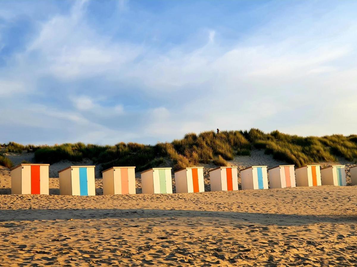 Beachhouse Renesse 2645 Εξωτερικό φωτογραφία