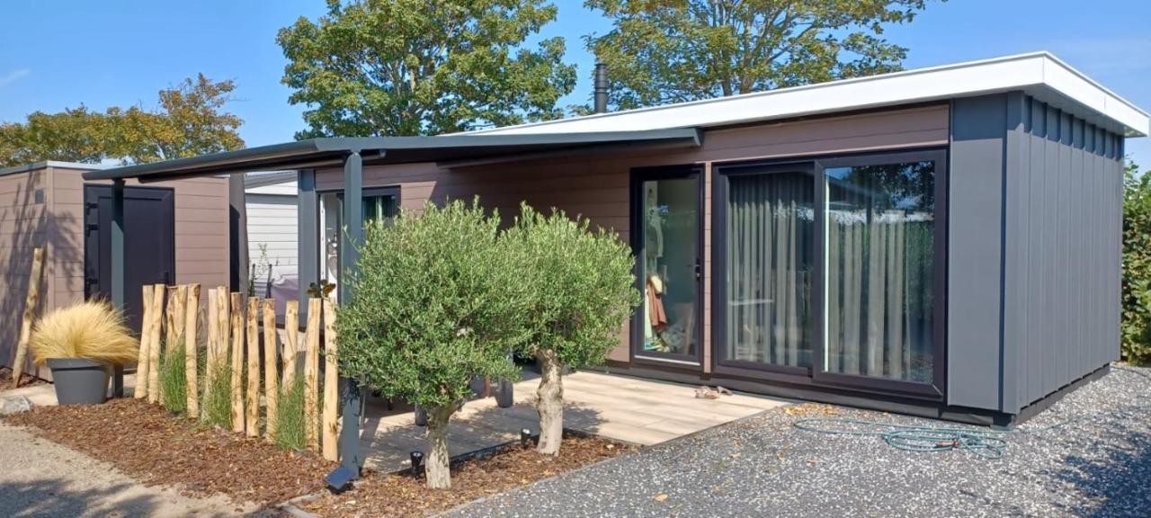 Beachhouse Renesse 2645 Εξωτερικό φωτογραφία